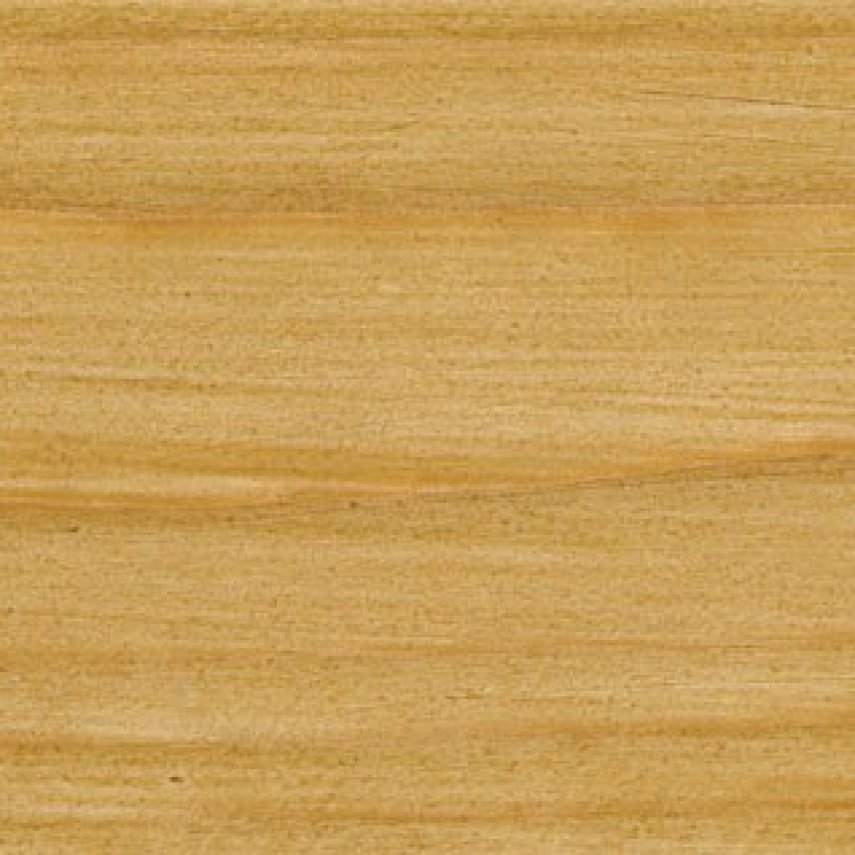 Фото товара Масло для паркета и древесины SAICOS Ecoline Ol Grundierung цветной грунт